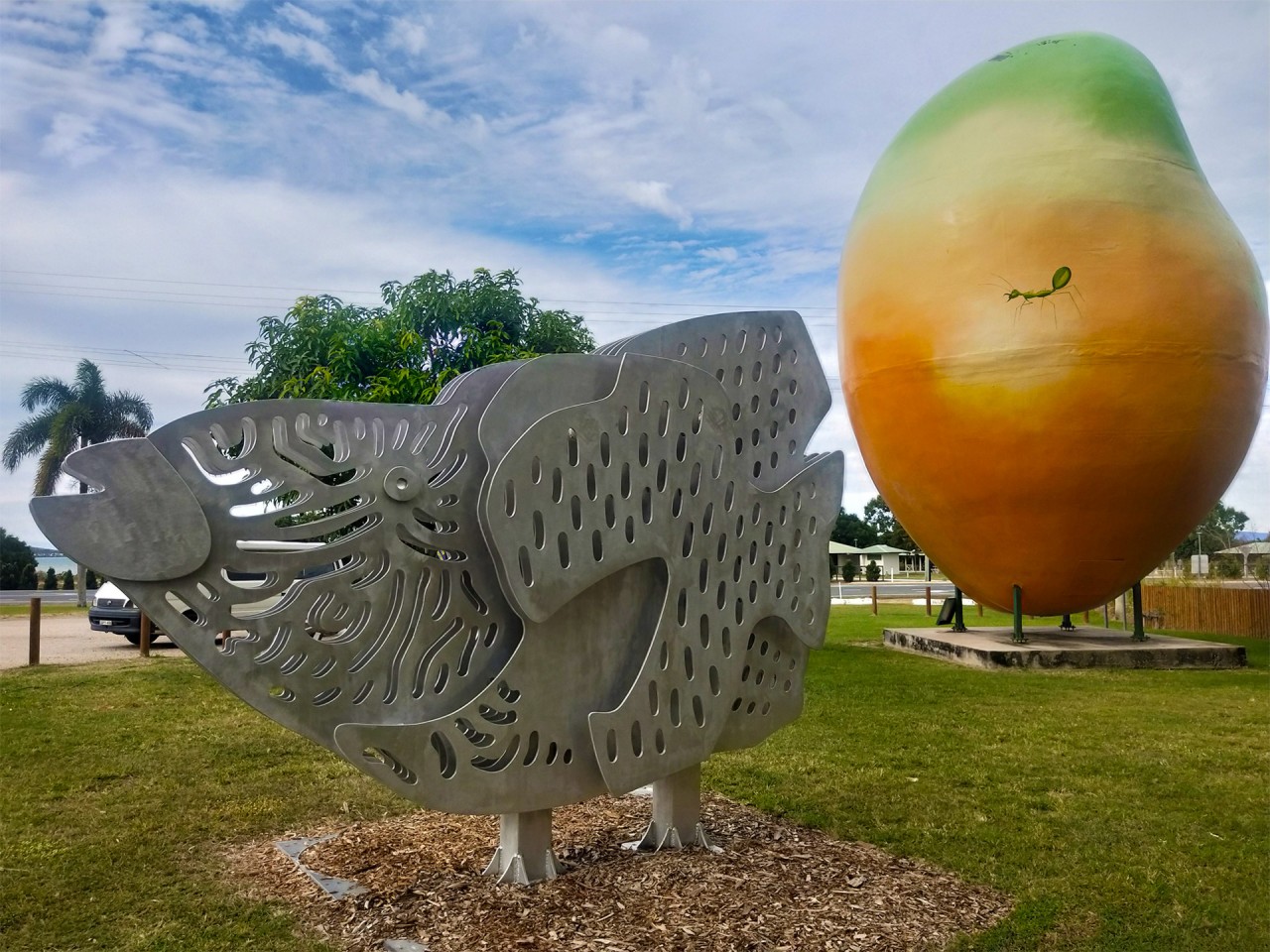 Big Mango, Big Art & Big Ideas - How art can help the reef